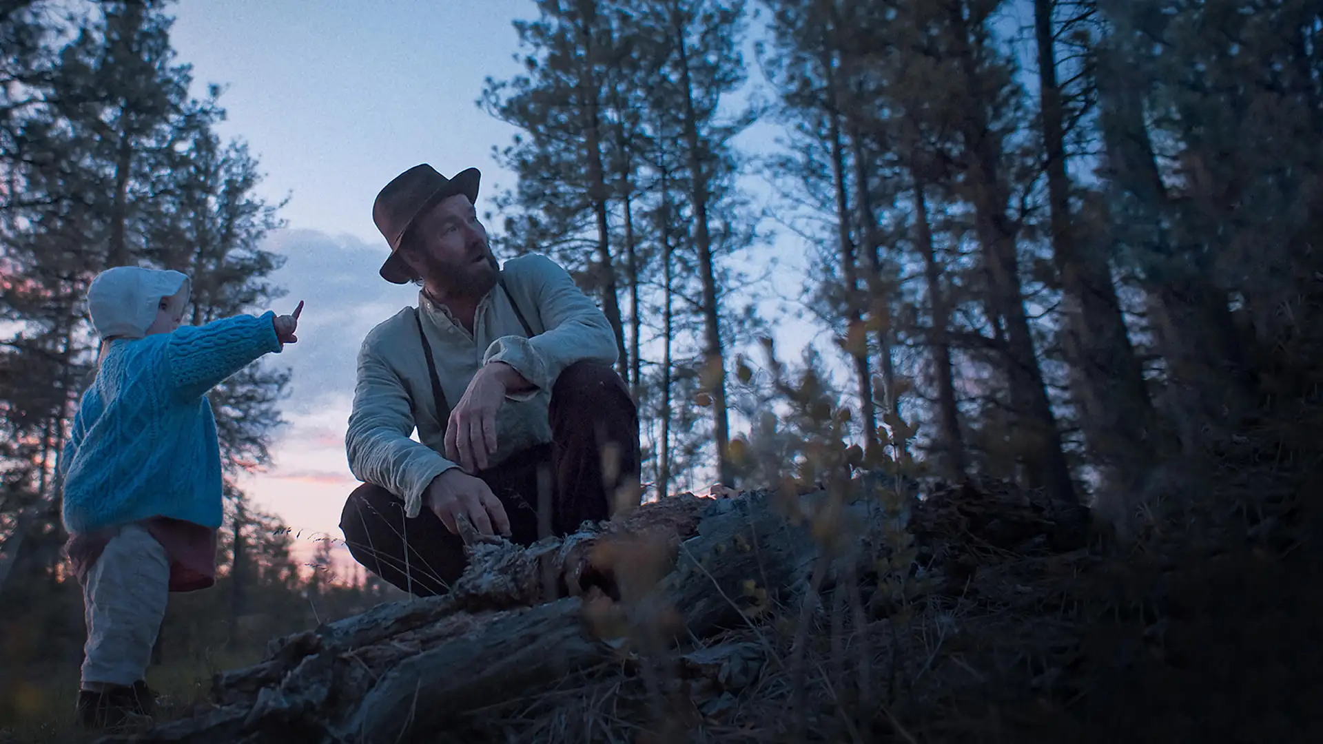 رویاهای قطار